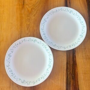 Corelle Country Cottage Dinner Plates with Light Green Vine Border - Set of 2